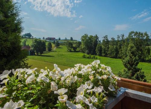 Ausblick vom Balkon