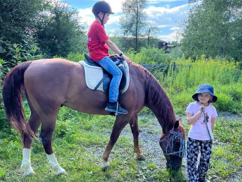 Reiten auf einem unserer braven Pferde Reiten auf einem unserer braven Pferde
