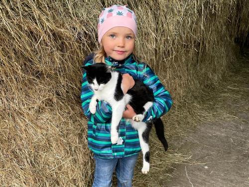 Unsere Hofkatze Moni freut sich über Streicheleinheiten Unsere Hofkatze Moni freut sich über Streicheleinheiten