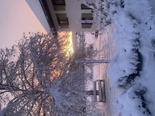 img_5272 img_5272