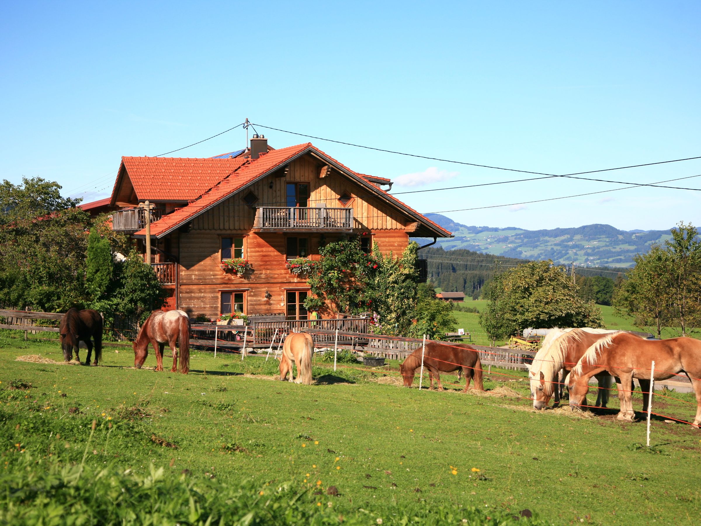 Unser Bilderbuchbauernhof