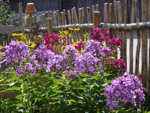 Mein schöner Garten