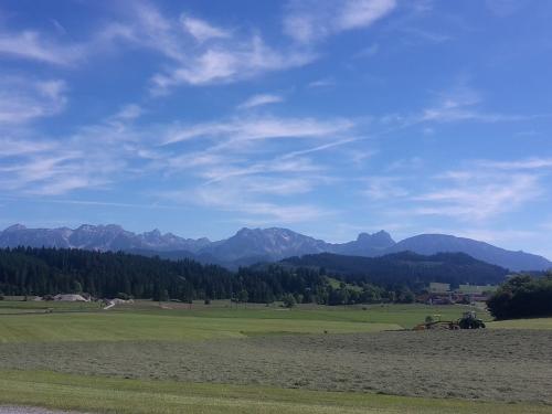 Heuernte hautnah erleben Heuernte hautnah erleben