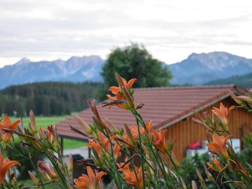 Ausblick von der Terrasse Ausblick von der Terrasse