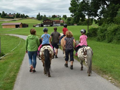 Ausritt mit unseren Pferden Ausritt mit unseren Pferden