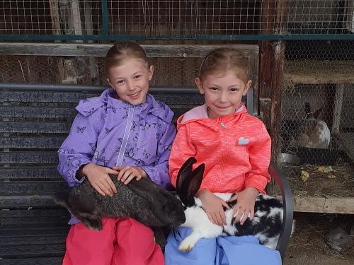 Streicheleinheiten für die Häschen Streicheleinheiten für die Häschen