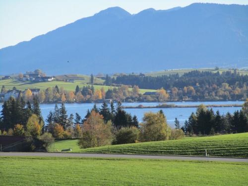 Blick auf den Hopfensee von unserem Hügel Blick auf den Hopfensee von unserem Hügel
