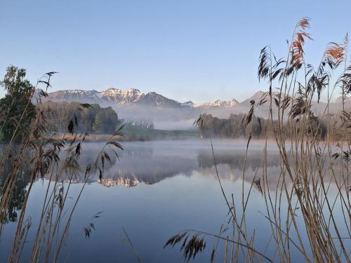 Bachweiher Bachweiher