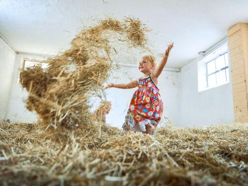 Spielscheune Tobeheu