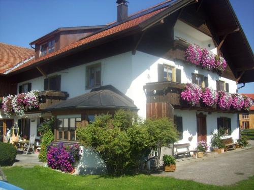 Haus