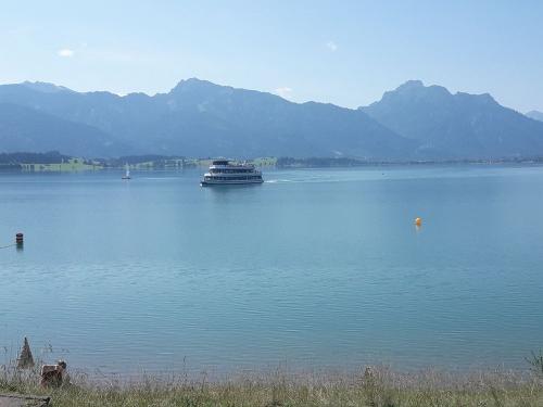 Forggenseeschiff