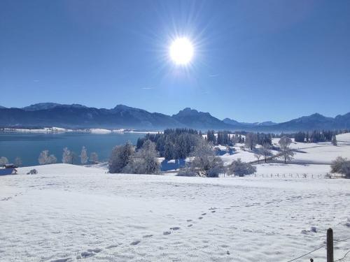Winterimpression