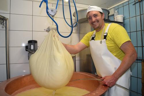 Leckerer Bergkäse aus eigener Herstellung