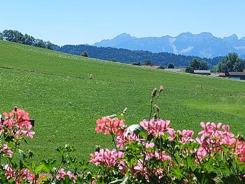 Aussicht vom Balkon