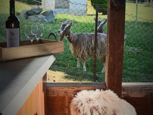 Bar mit Ausblick Bar mit Ausblick