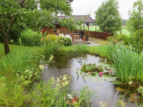 Unser Schwimmteich