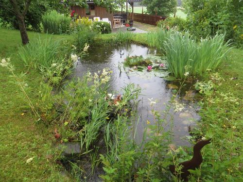 Gartenhaus_Teich
