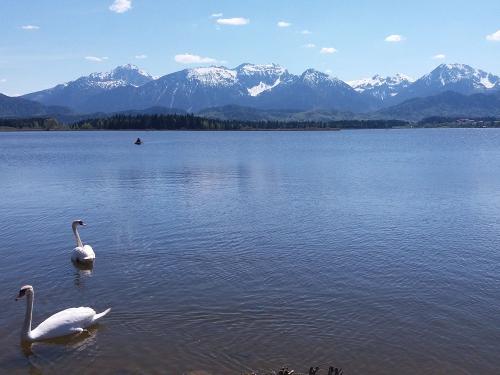 Der wunderschöne Hopfensee ist nur wenige Fahrminuten von uns entfernt