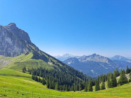 Ausblick vom Breitenberg