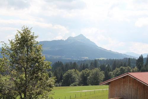 Grünten