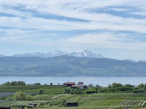 herrlicheausflgeandenbodensee