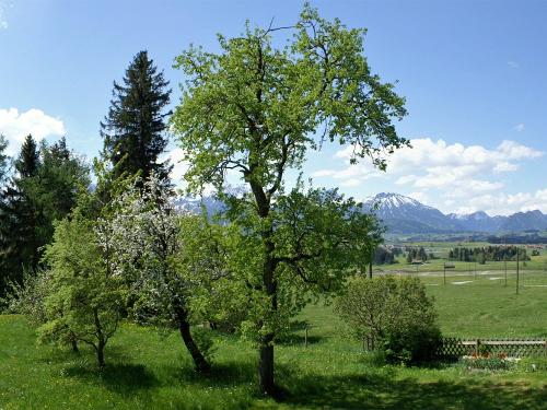 Balkonausblick