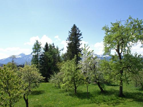 Balkonausblick