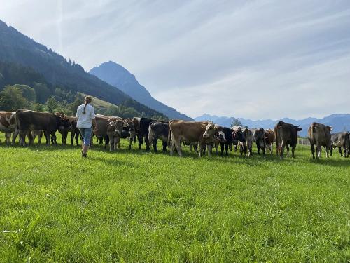 Urlaubshighlight Viehscheid Mitte September