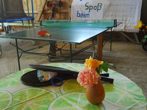 Spiele Spiele