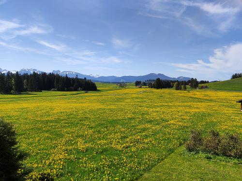 Aussicht im Frühling Aussicht im Frühling