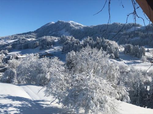 Blick vom Balkon