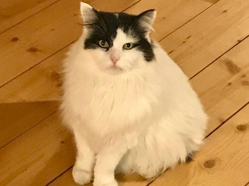 Unser Bärli