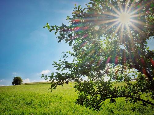 Am Sonnenhof Am Sonnenhof