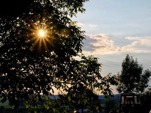 allgu_2017043 allgu_2017043