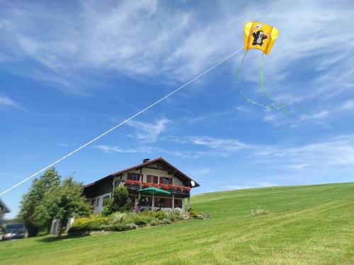 Drachensteigen im Sonnenschein Drachensteigen im Sonnenschein