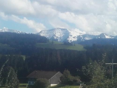 Weite Bergsicht!
