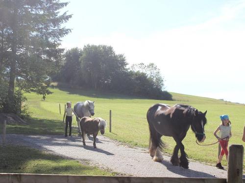 Bounty, Bella, Bolero jetzt Diego