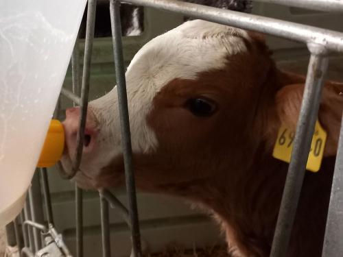 20251230_171730 20251230_171730