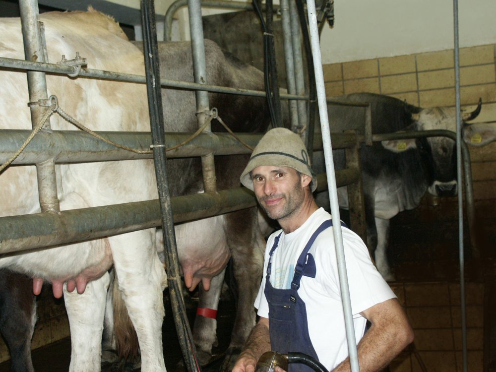 Grauviehhof_Dreamway