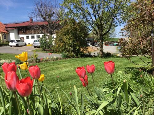 Herrlicher Frühling