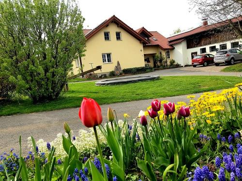 Frühling 5
