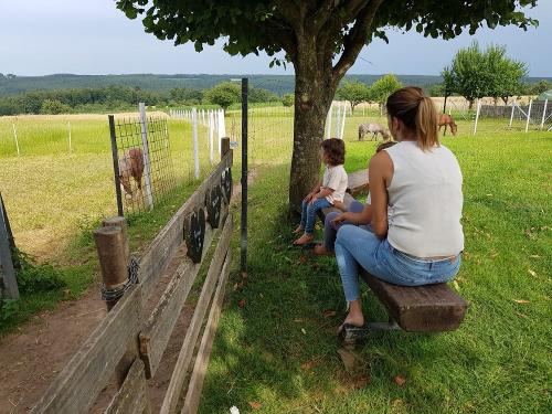 Herrlicher Blick mit Tierbeobachtung
