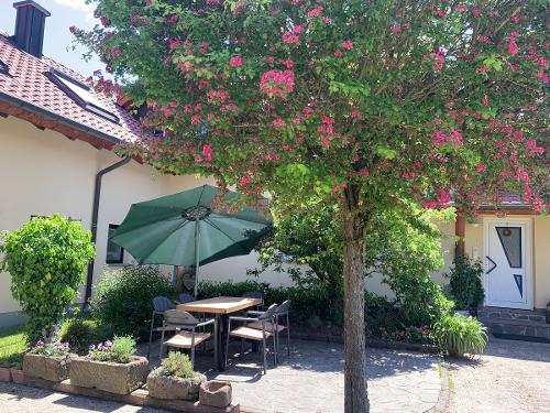 Sitzgruppe Sonnenblume und Eingang Ferienhof Sennert Sitzgruppe Sonnenblume und Eingang Ferienhof Sennert