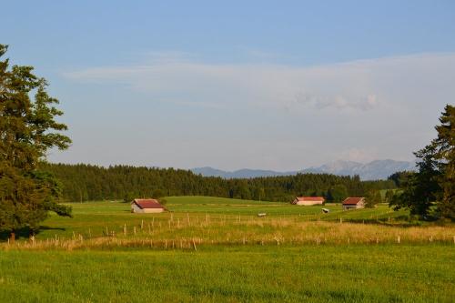 dsc_0009-001