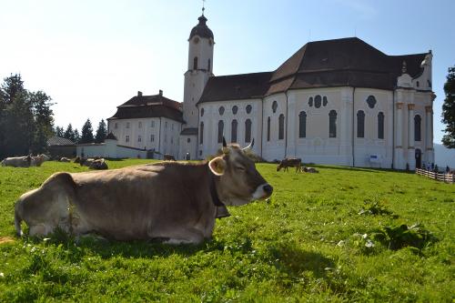 Wieskirche