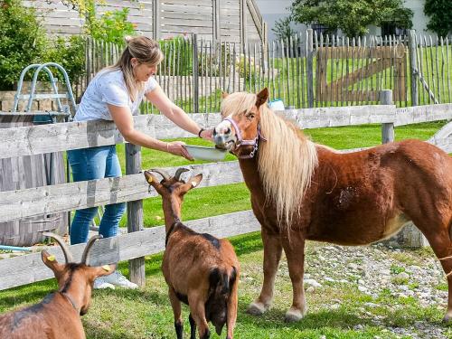 Pony und Ziegen