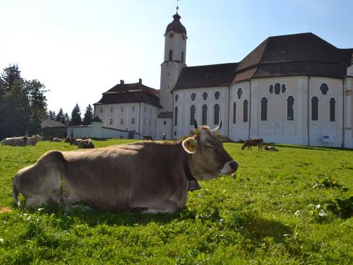 Wieskirche