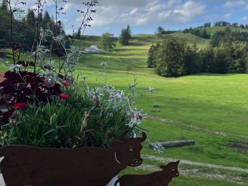 Die Berge rufen Dich