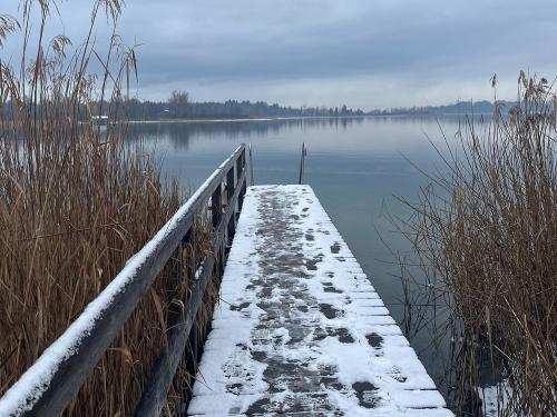 Winterschwimmen Eisbaden pure Lebensenergie Winterschwimmen Eisbaden pure Lebensenergie