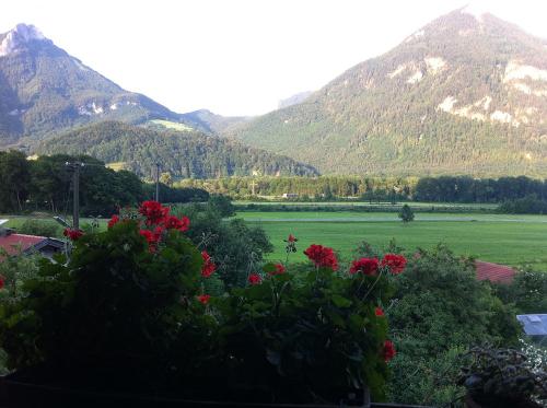 Balkonblick